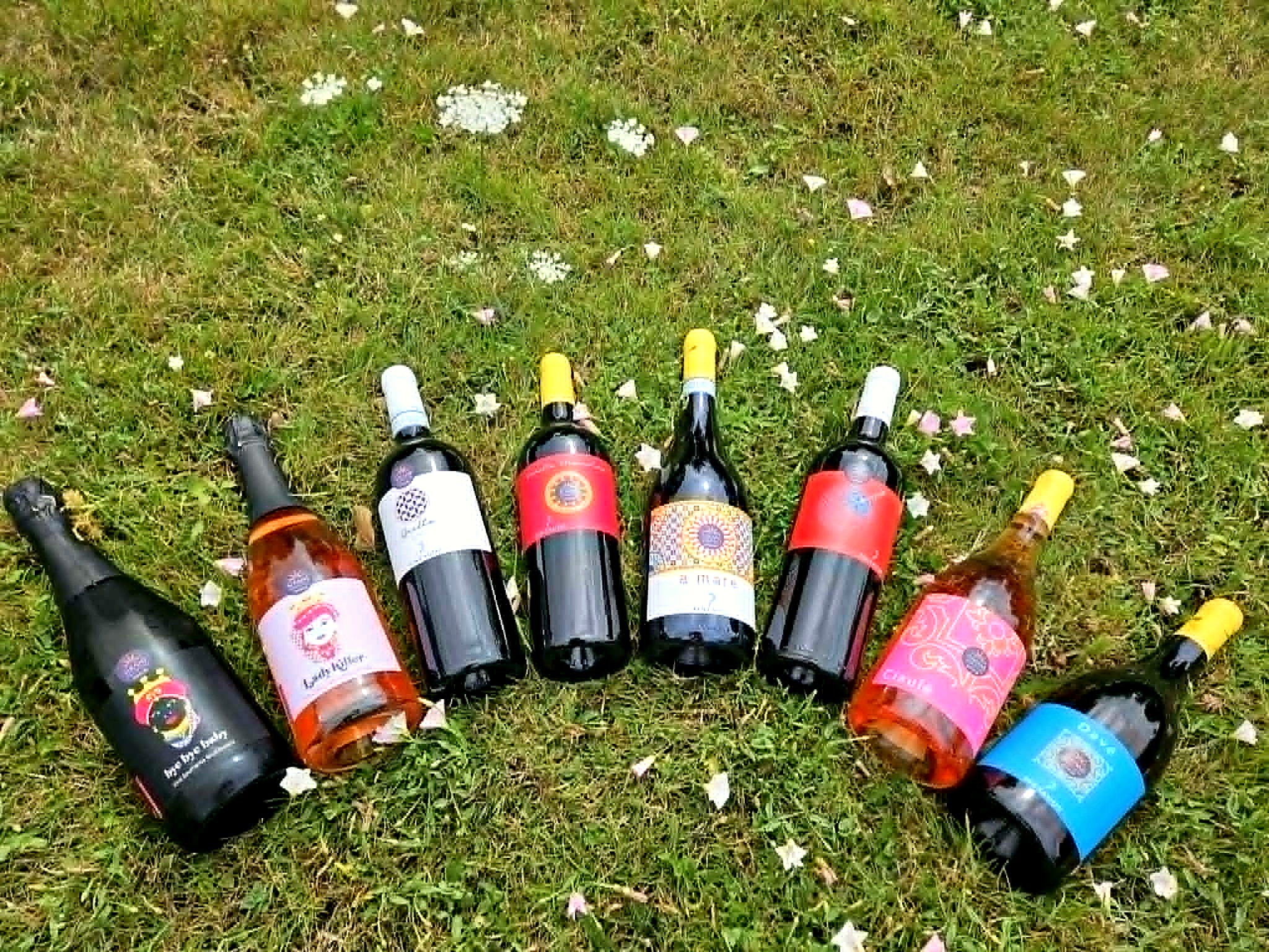 Sicilianske vine fra familiens egen producent